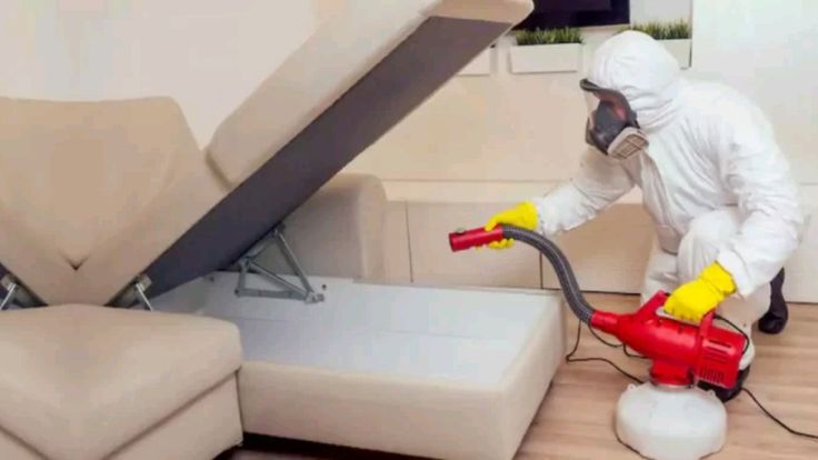 طرق القضاء على الرمة بالرياض