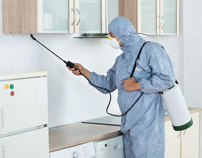 مكافحة الحشرات بالتجمع الخامس