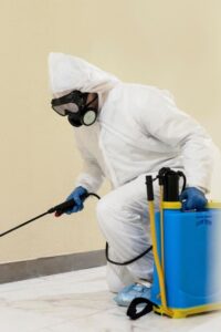 مكافحةحشرات في الشهداء