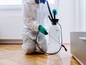 مكافحةحشرات في سرس الليان