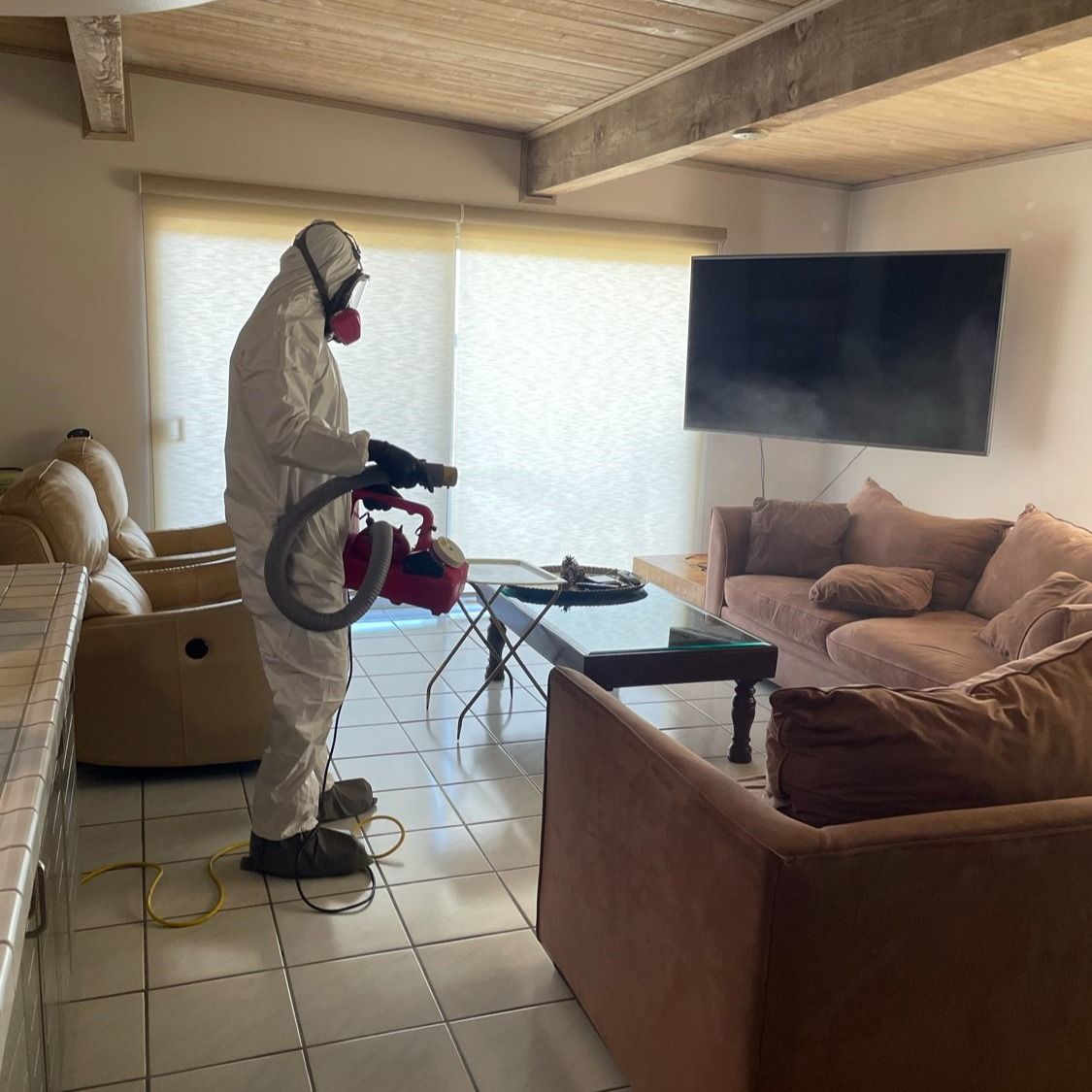 خدمات شركة مكافحة حشرات في العباسية