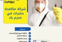 شركة مكافحة حشرات في محرم بك