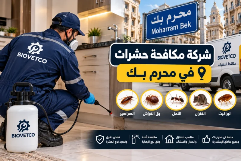 شركة مكافحة حشرات في محرم بك