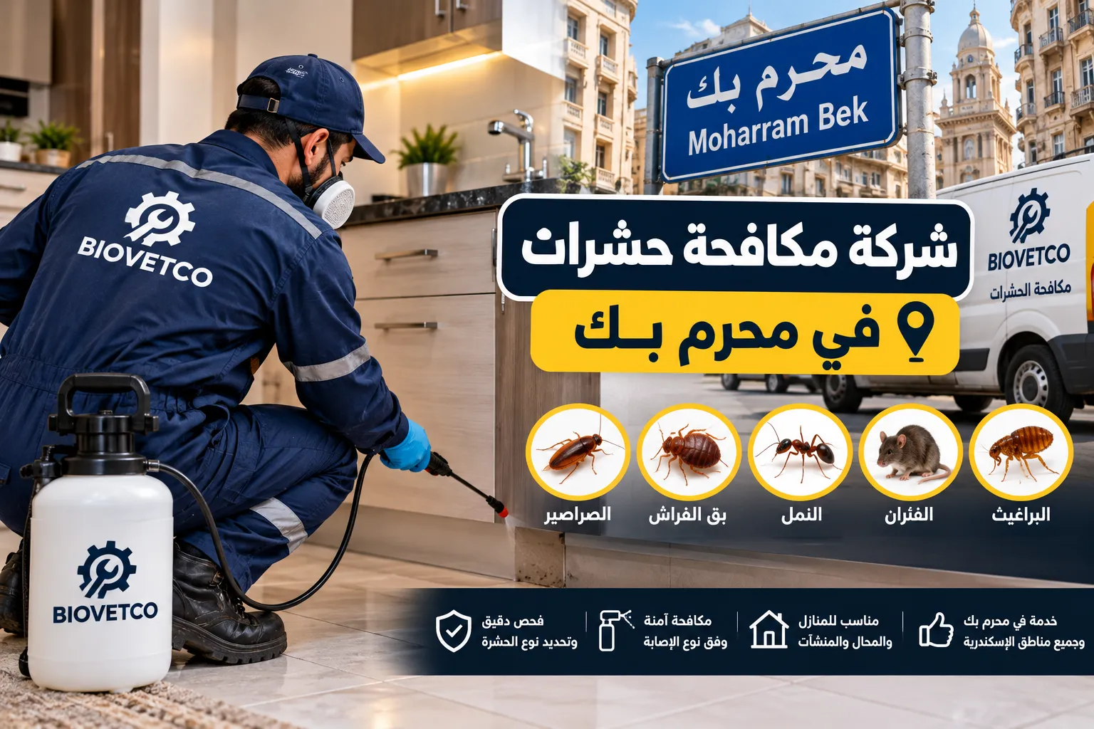 شركة مكافحة حشرات في محرم بك