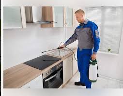 شركة مكافحة حشرات في محرم بك