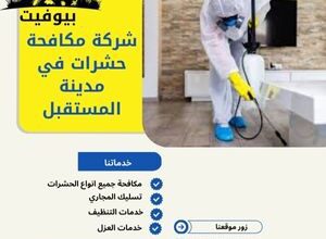 شركة مكافحة حشرات في مدينة المستقبل