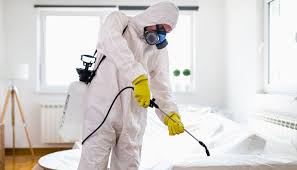 شركة مكافحة حشرات في مدينة المستقبل