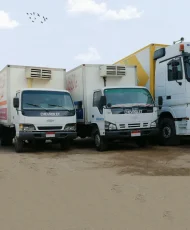 شركة نقل مبردات بالرياض
