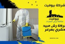 شركة رش مبيد حشري بعرعر