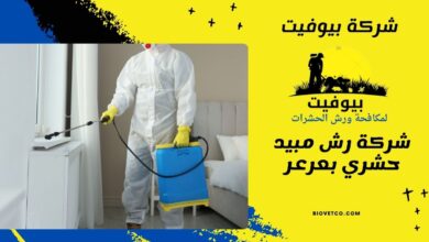 شركة رش مبيد حشري بعرعر