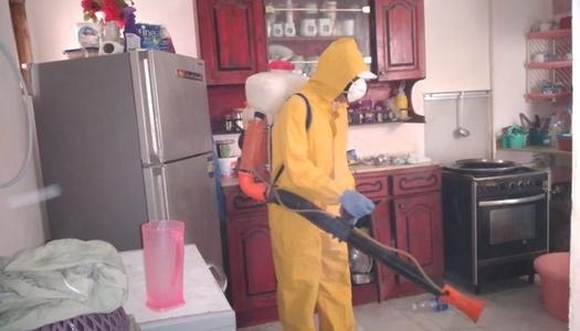 شركة رش مبيد حشري بعرعر