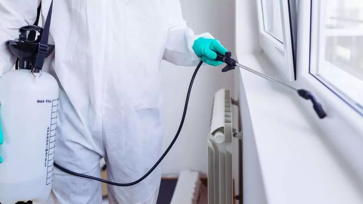 شركة رش مبيد حشري بعرعر