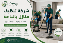 شركة تنظيف منازل بالباحة