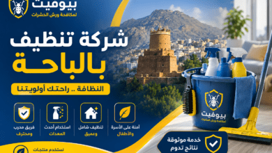 شركة تنظيف بالباحة