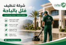 شركة تنظيف فلل بالباحة