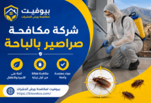 شركة مكافحة صراصير بالباحة