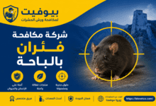 شركة مكافحة فئران بالباحة
