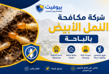 شركة مكافحة النمل الأبيض بالباحة