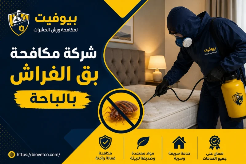 شركة مكافحة بق الفراش بالباحة